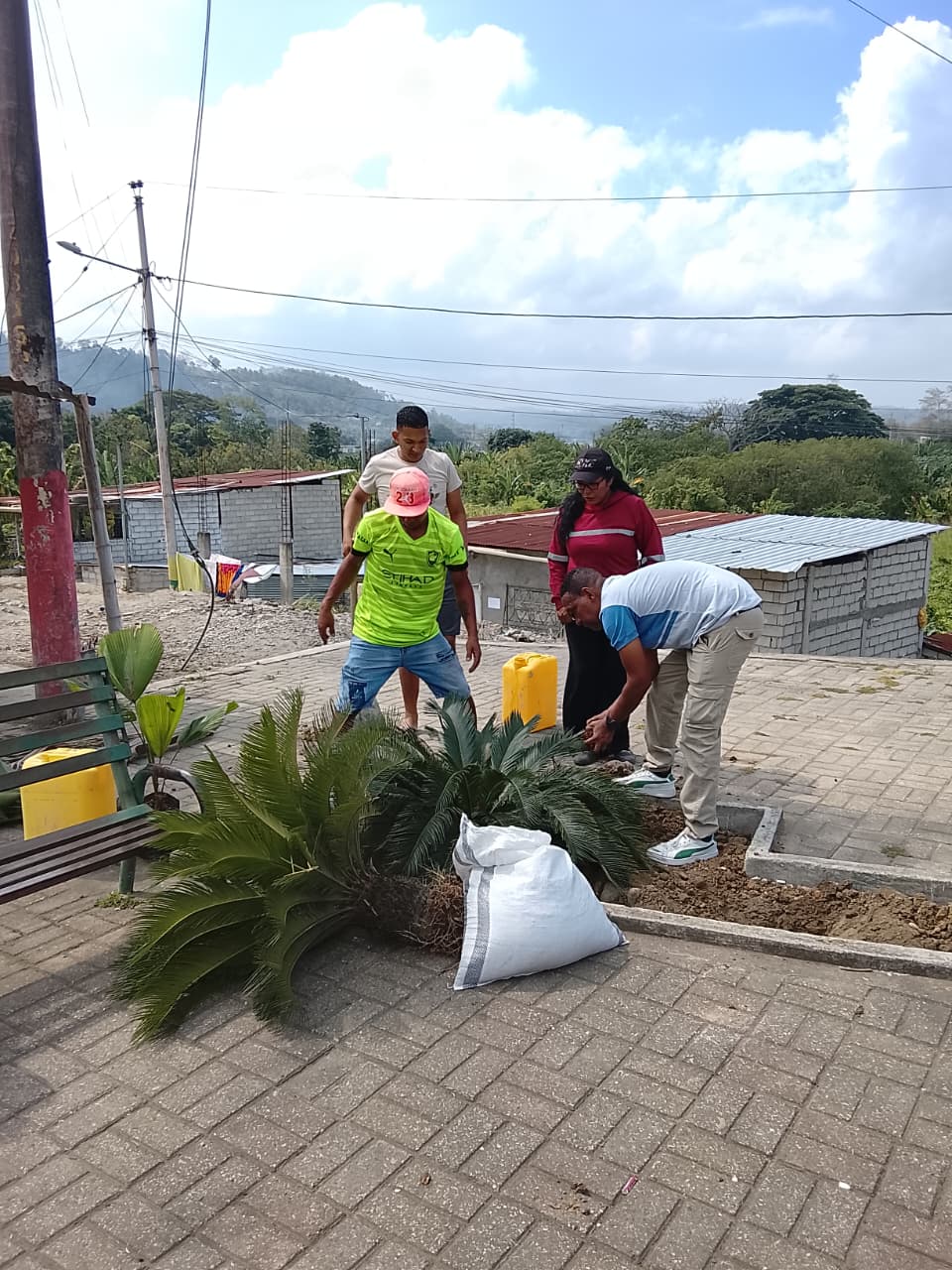 Actividad comunitaria 5