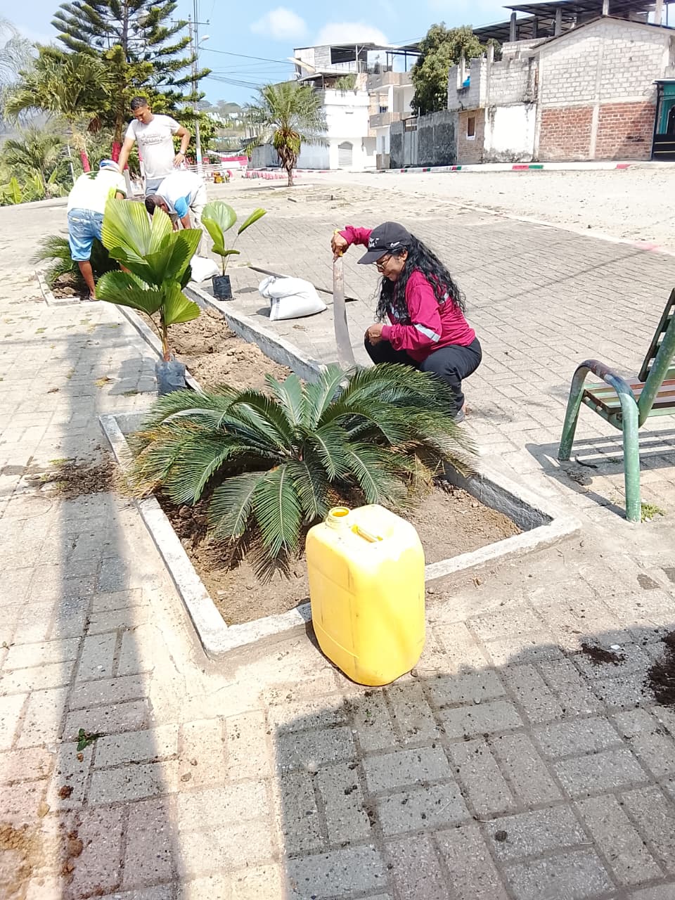 Actividad comunitaria 6