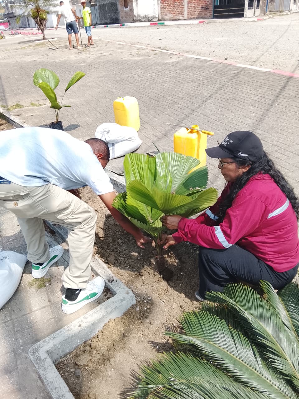 Actividad comunitaria 13