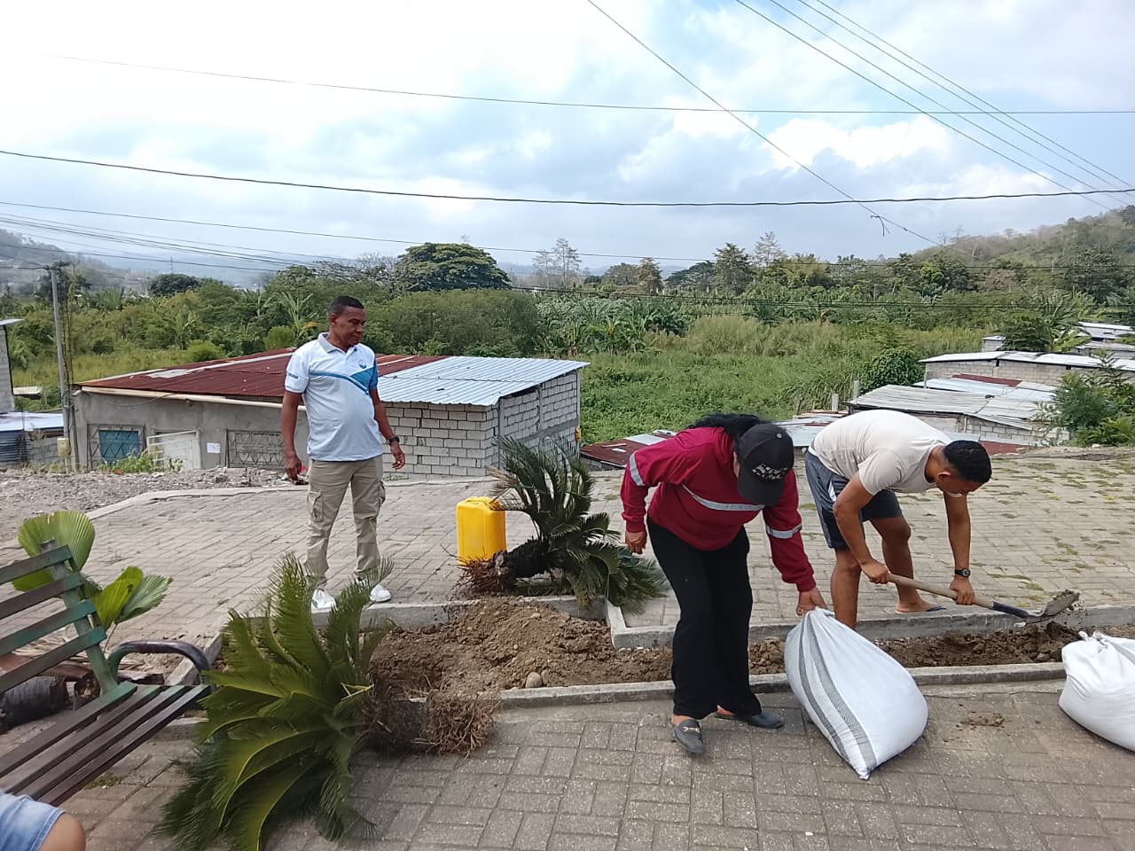 Actividad comunitaria 14