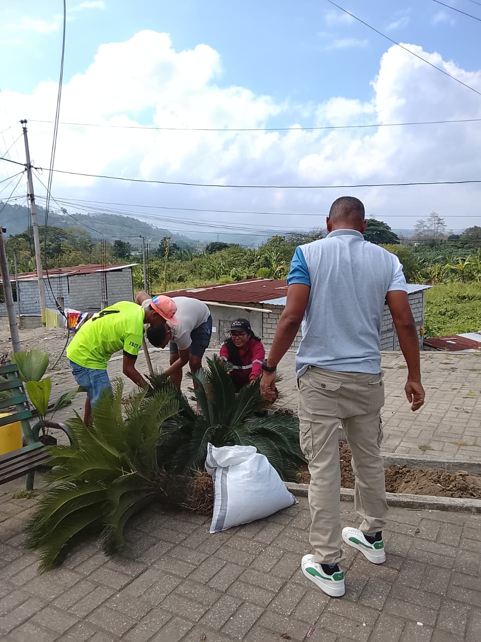 Actividad comunitaria 15