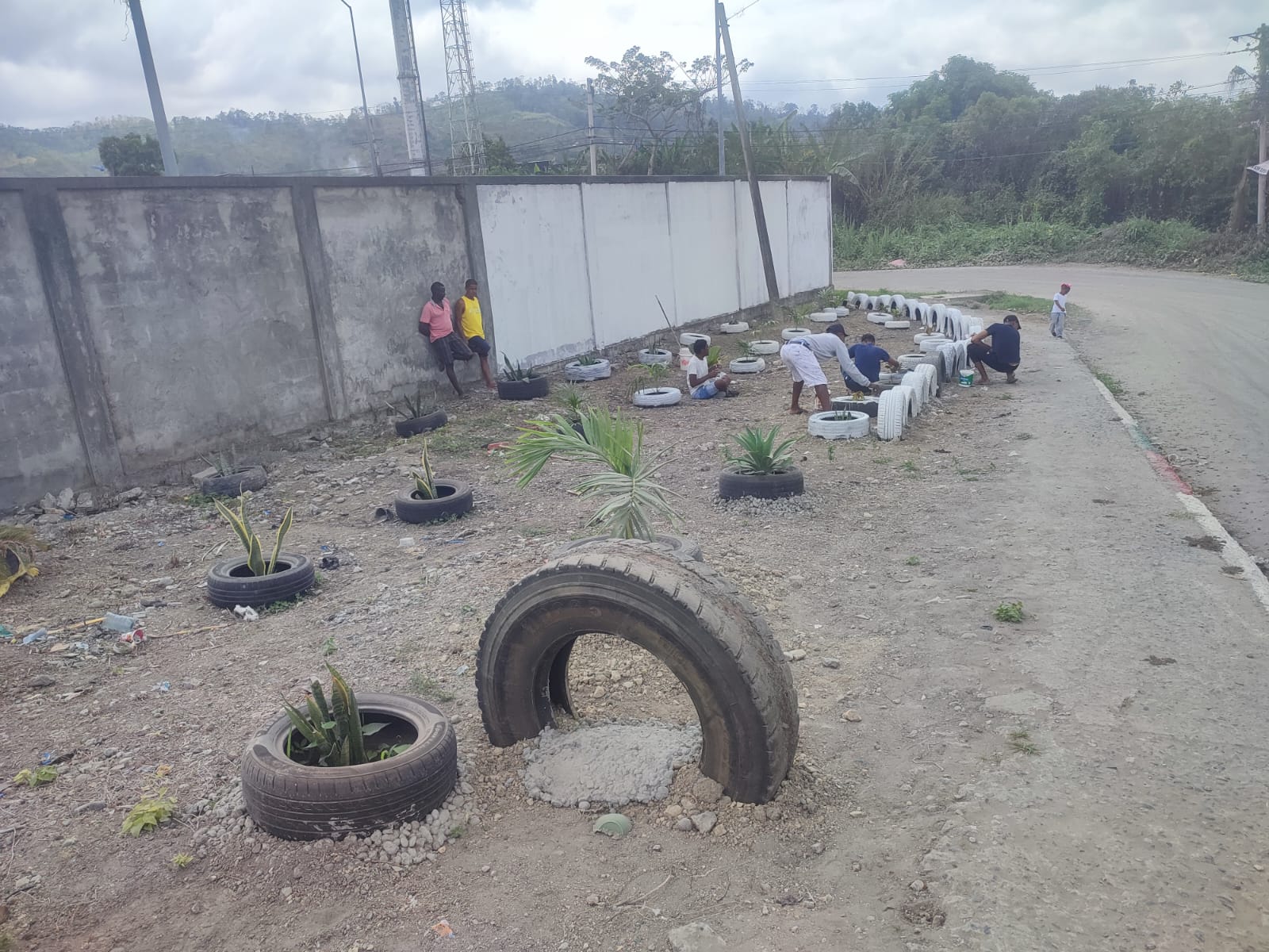 Actividad comunitaria 18