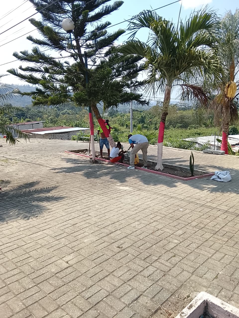 Actividad comunitaria 25