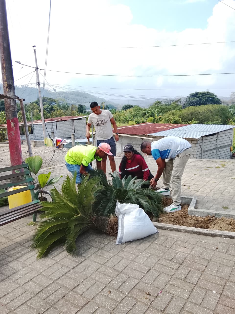 Actividad comunitaria 26