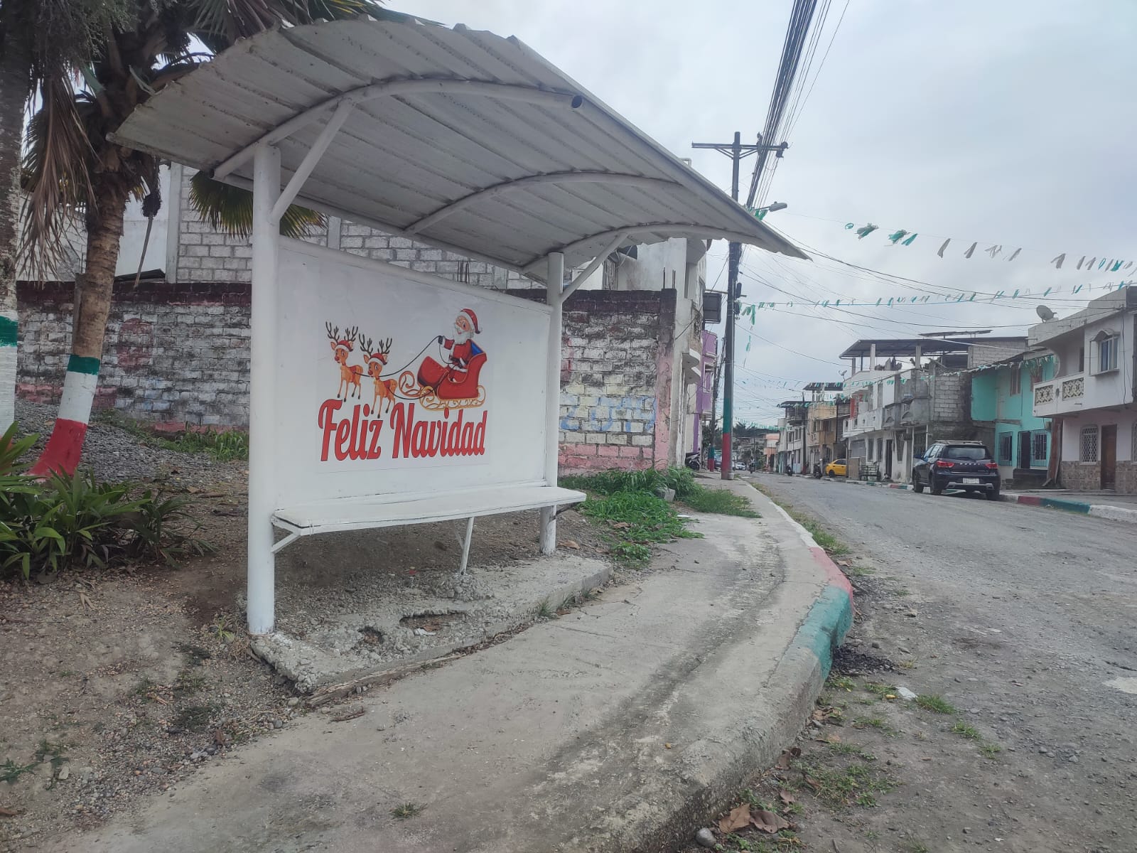 Actividad comunitaria 31