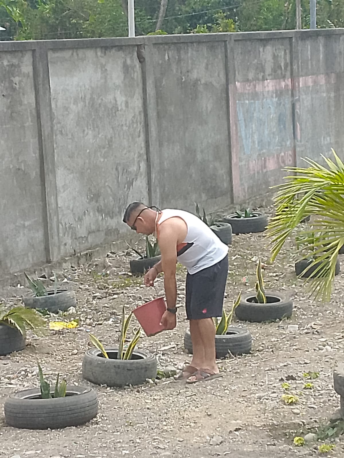 Actividad comunitaria 41